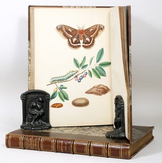 Item #1861 The Natural History of the Rarer Lepidopterous Insects of Georgia. JOHN ABBOT, JAMES...