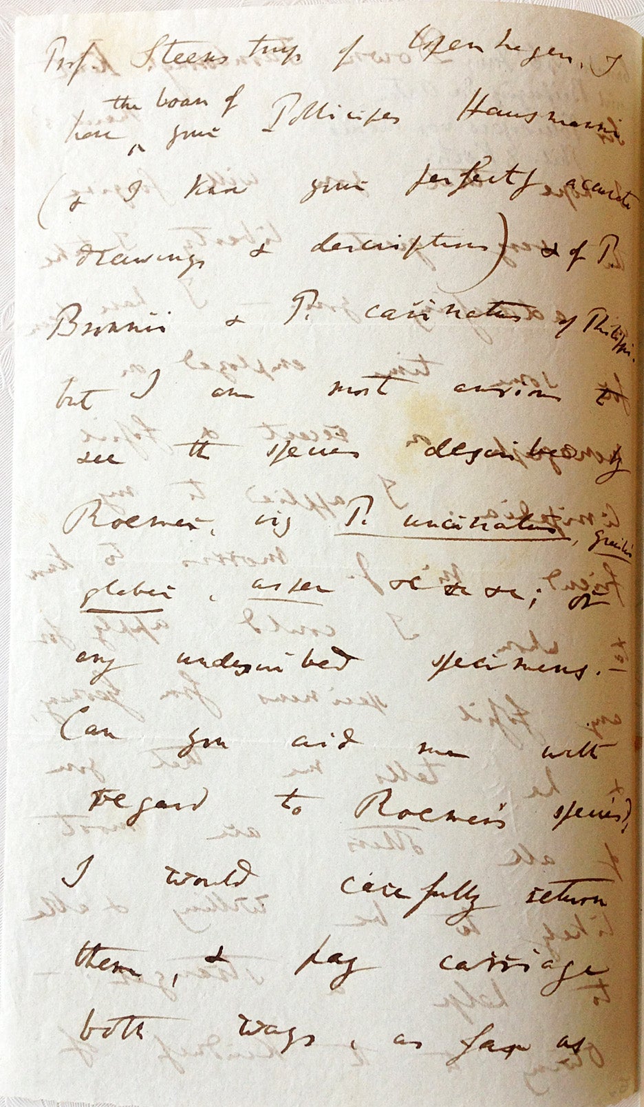 Autograph Letter Signed | CHARLES DARWIN