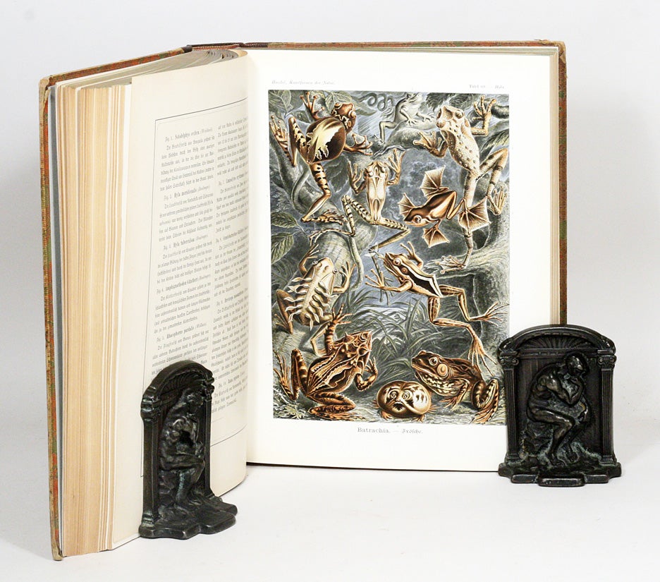 Kunstformen der Natur Art Forms in Nature | ERNST HAECKEL | First