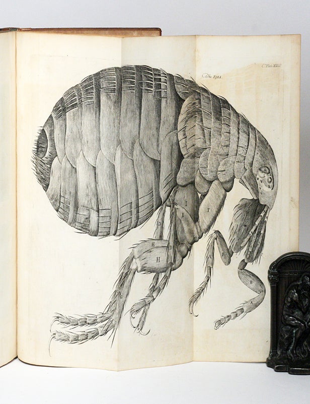 Micrographia Examples Micrographia Definition Direita) Frontispício Da Edição De 1665 Da