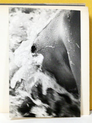 Nus de la Mer