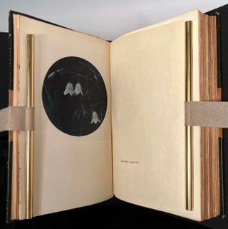 The Writings of Henry David Thoreau