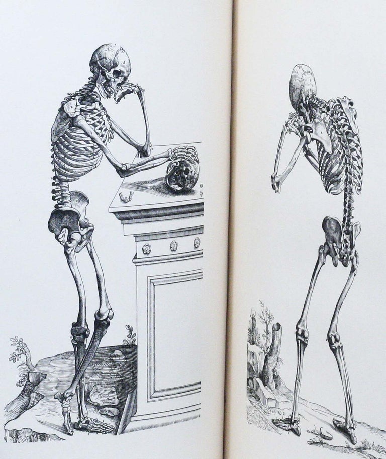 Icones anatomicae [De humani corporis fabrica; Epitome. ANDREAS VESALIUS.