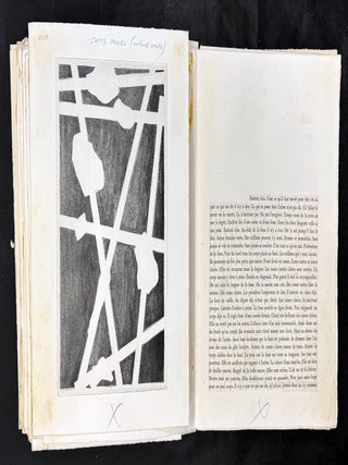 Foirades / Fizzles: Maquette