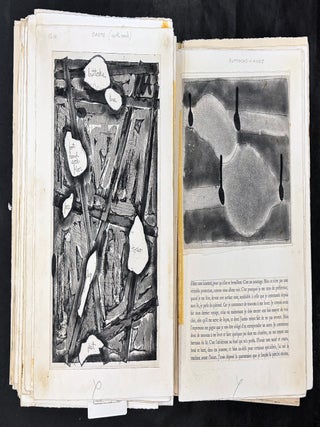 Foirades / Fizzles: Maquette