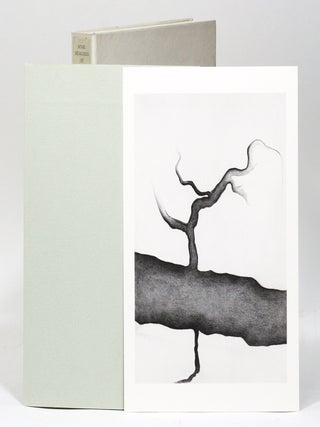 Some Memories of Drawings