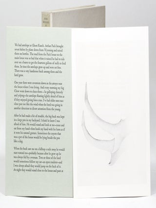 Some Memories of Drawings