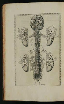Tabulae Anatomicae