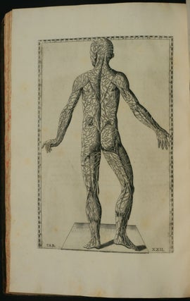 Tabulae Anatomicae