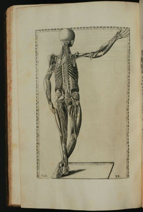 Tabulae Anatomicae