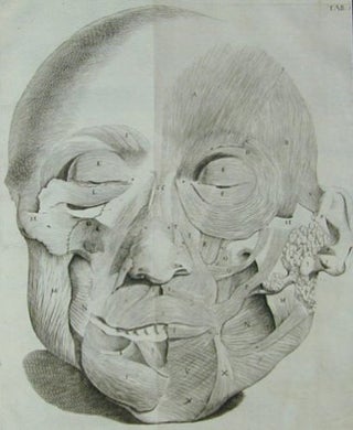 Item #733 Observationes anatomicae. Giovanni Domenico Santorini