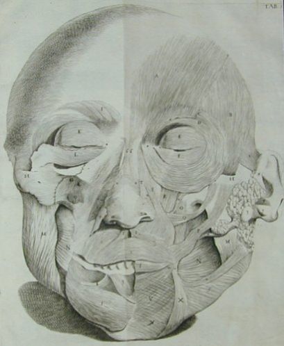 Item #733 Observationes anatomicae. Giovanni Domenico Santorini.