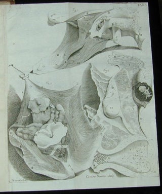 Observationes anatomicae